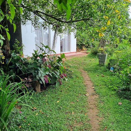 Squirrel'S Nest Hotel Kandy Exterior photo